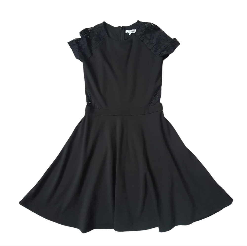Parker Lace Short Sleeve Dress Fit and Flare Skater Lace Sides Size M NWT $242 - Picture 2 of 15